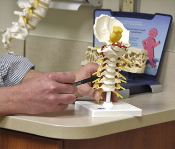 Dr. Little with a model of the spine
